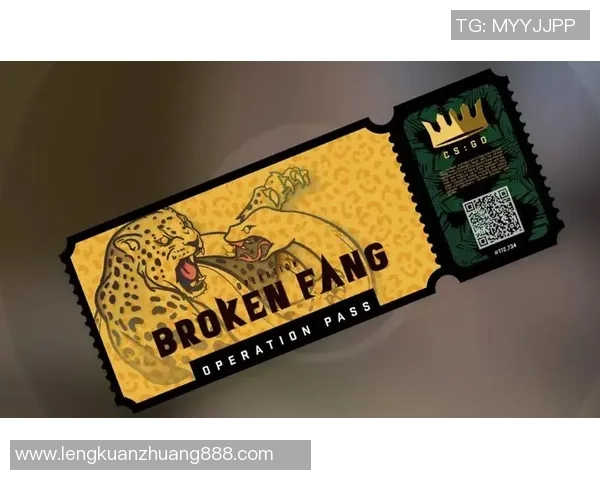 CSGO战术解析：深入探讨RNG战队的运营体系与战术布局